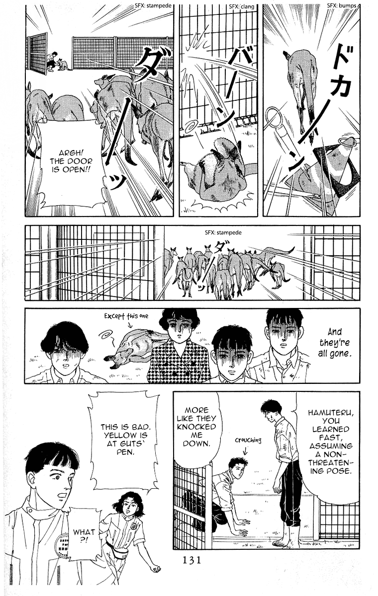 Doubutsu no Oishasan Chapter 116 page 13 - Chapter 116