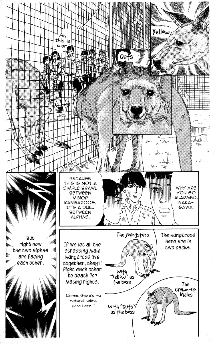 Doubutsu no Oishasan Chapter 116 page 14 - Chapter 116