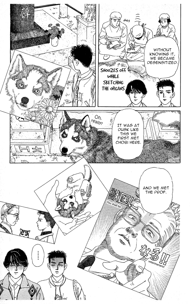 Doubutsu no Oishasan Chapter 118 page 7 - Chapter 118