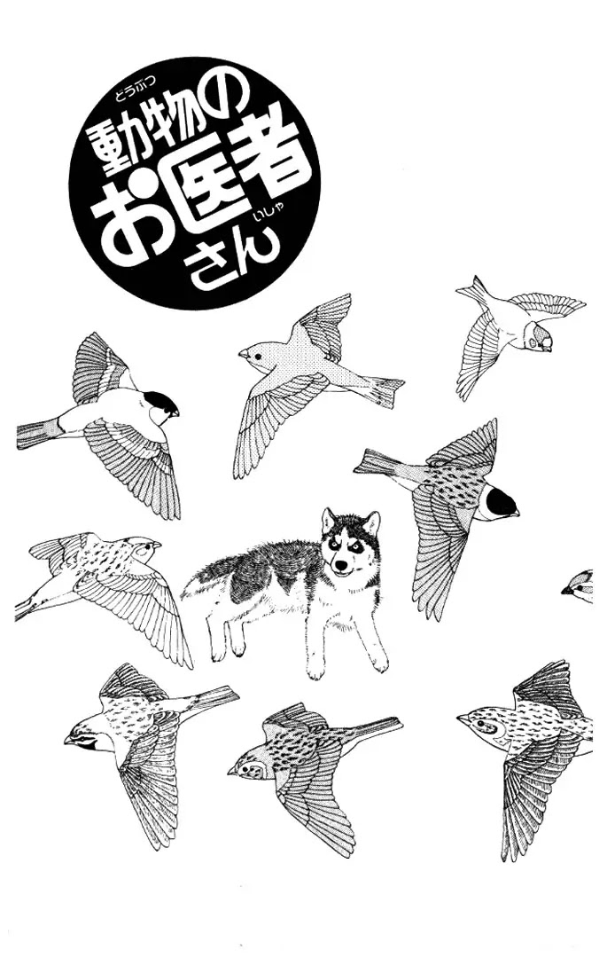 Doubutsu no Oishasan Chapter 13 page 1 - Chapter 13 : 13