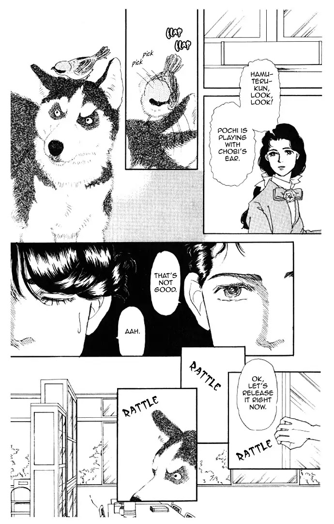 Doubutsu no Oishasan Chapter 13 page 14 - Chapter 13 : 13