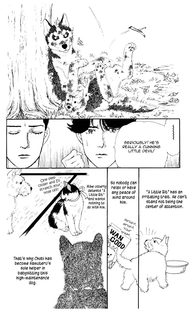 Doubutsu no Oishasan Chapter 20 page 11 - Chapter 20