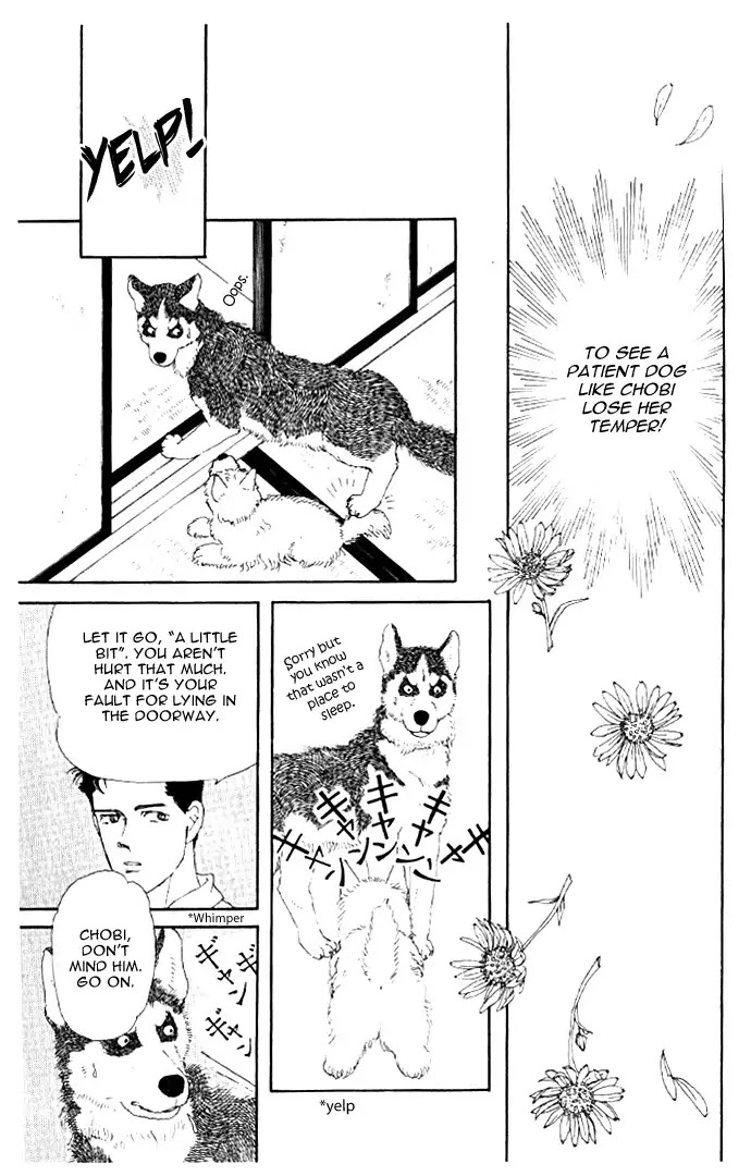Doubutsu no Oishasan Chapter 20 page 14 - Chapter 20