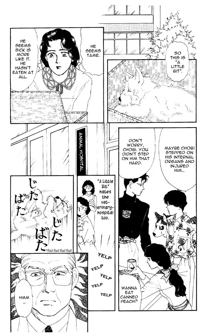 Doubutsu no Oishasan Chapter 20 page 15 - Chapter 20
