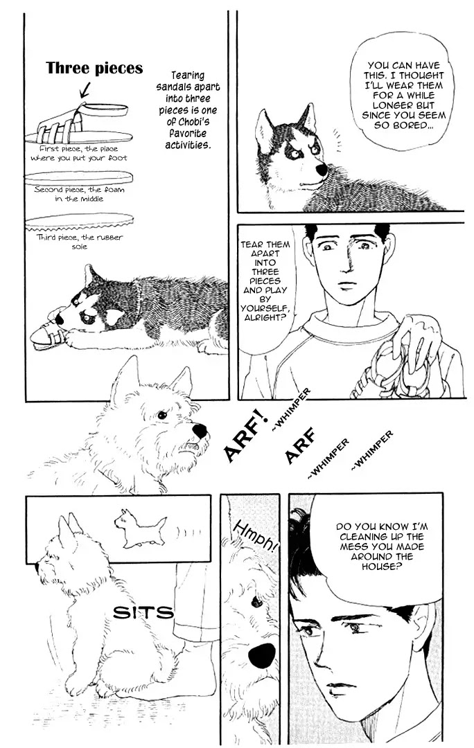 Doubutsu no Oishasan Chapter 20 page 19 - Chapter 20