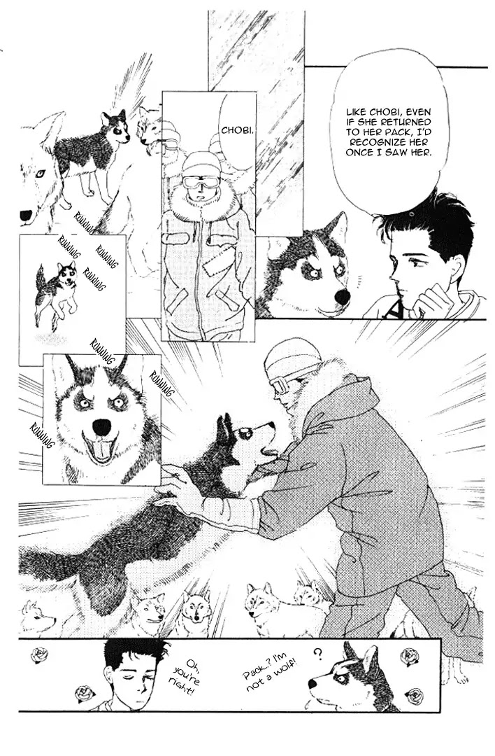 Doubutsu no Oishasan Chapter 22 page 13 - Chapter 22