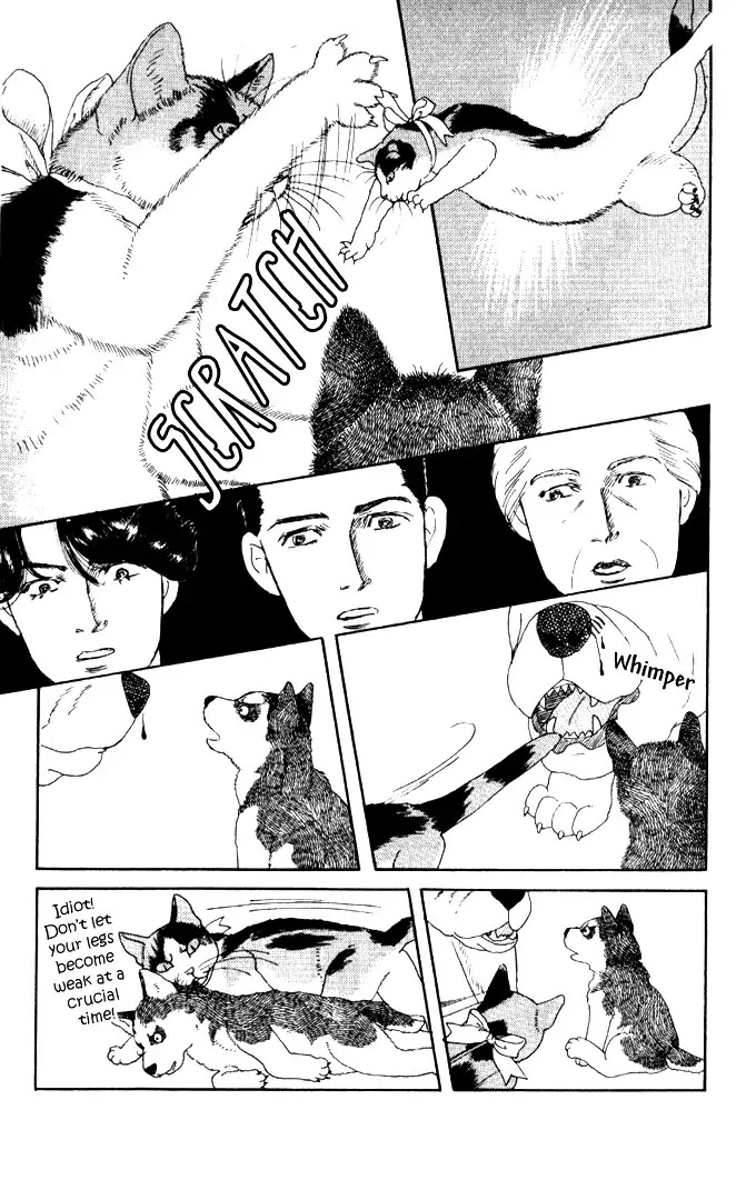 Doubutsu no Oishasan Chapter 26 page 16 - Chapter 26
