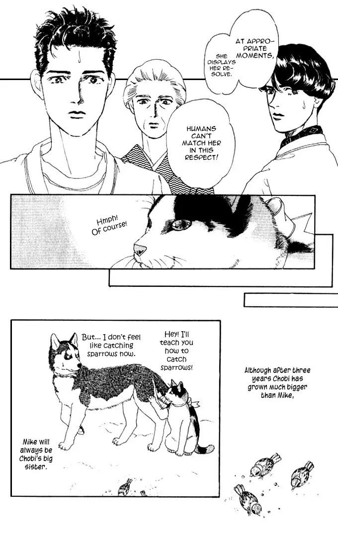 Doubutsu no Oishasan Chapter 26 page 19 - Chapter 26