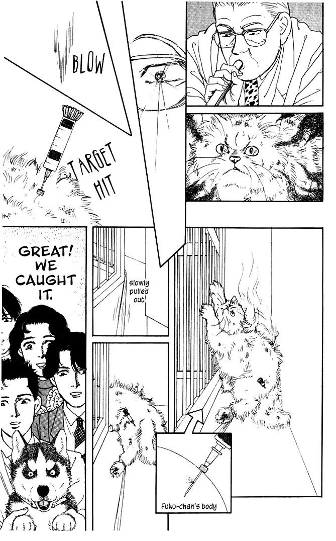 Doubutsu no Oishasan Chapter 28 page 19 - Chapter 28