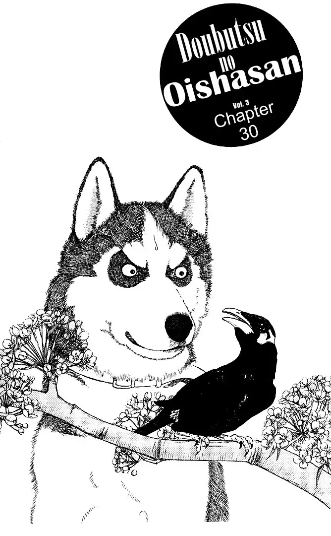 Doubutsu no Oishasan Chapter 30 page 2 - Chapter 30