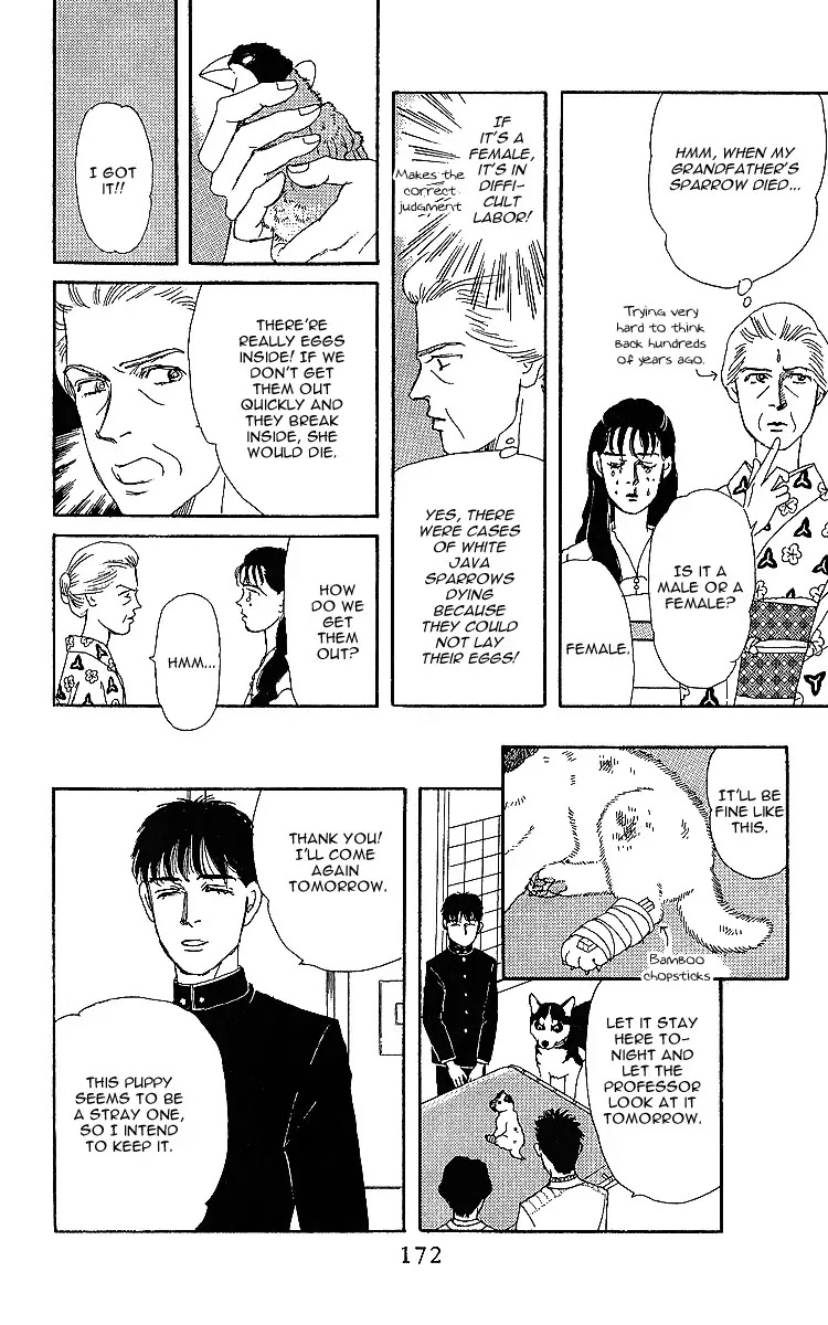 Doubutsu no Oishasan Chapter 32 page 16 - Chapter 32