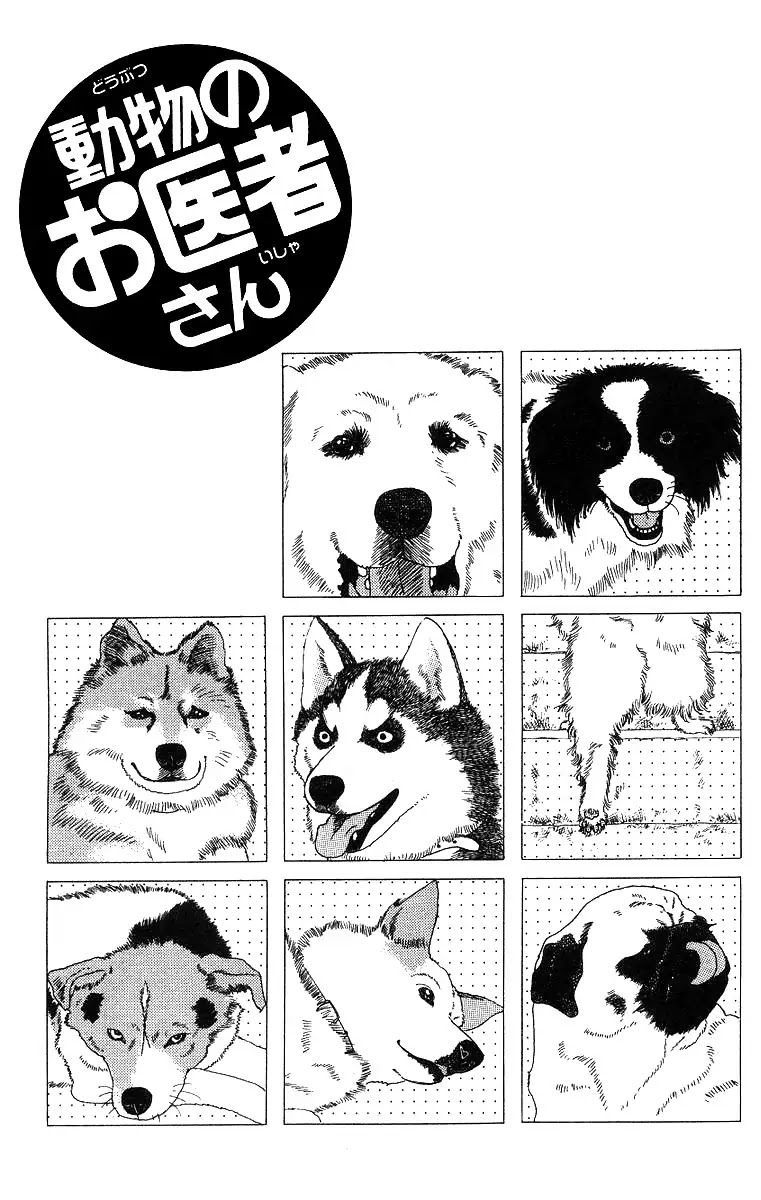 Doubutsu no Oishasan Chapter 33 page 3 - Chapter 33