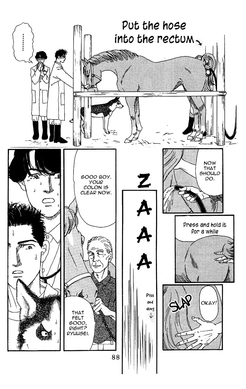Doubutsu no Oishasan Chapter 37 page 16 - Chapter 37
