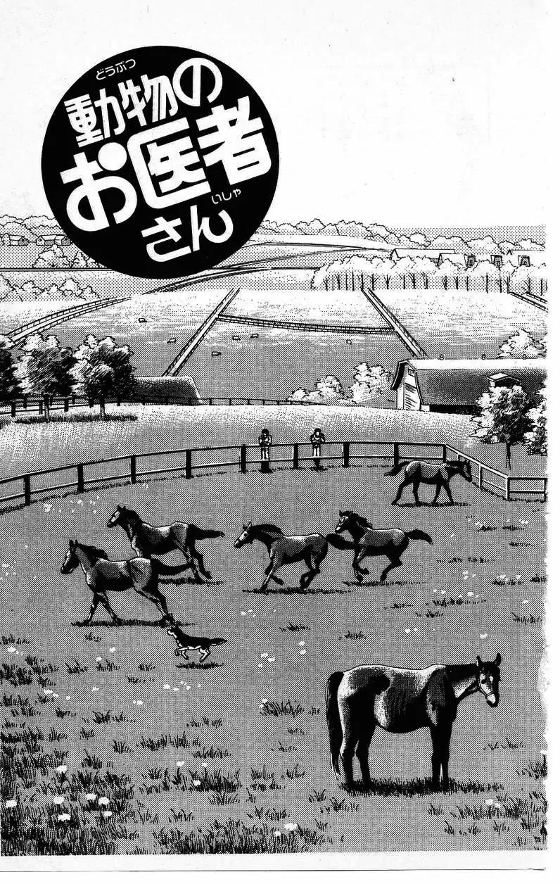 Doubutsu no Oishasan Chapter 37 page 3 - Chapter 37