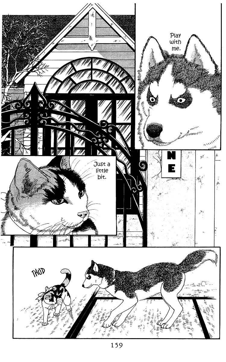 Doubutsu no Oishasan Chapter 42 page 3 - Chapter 42