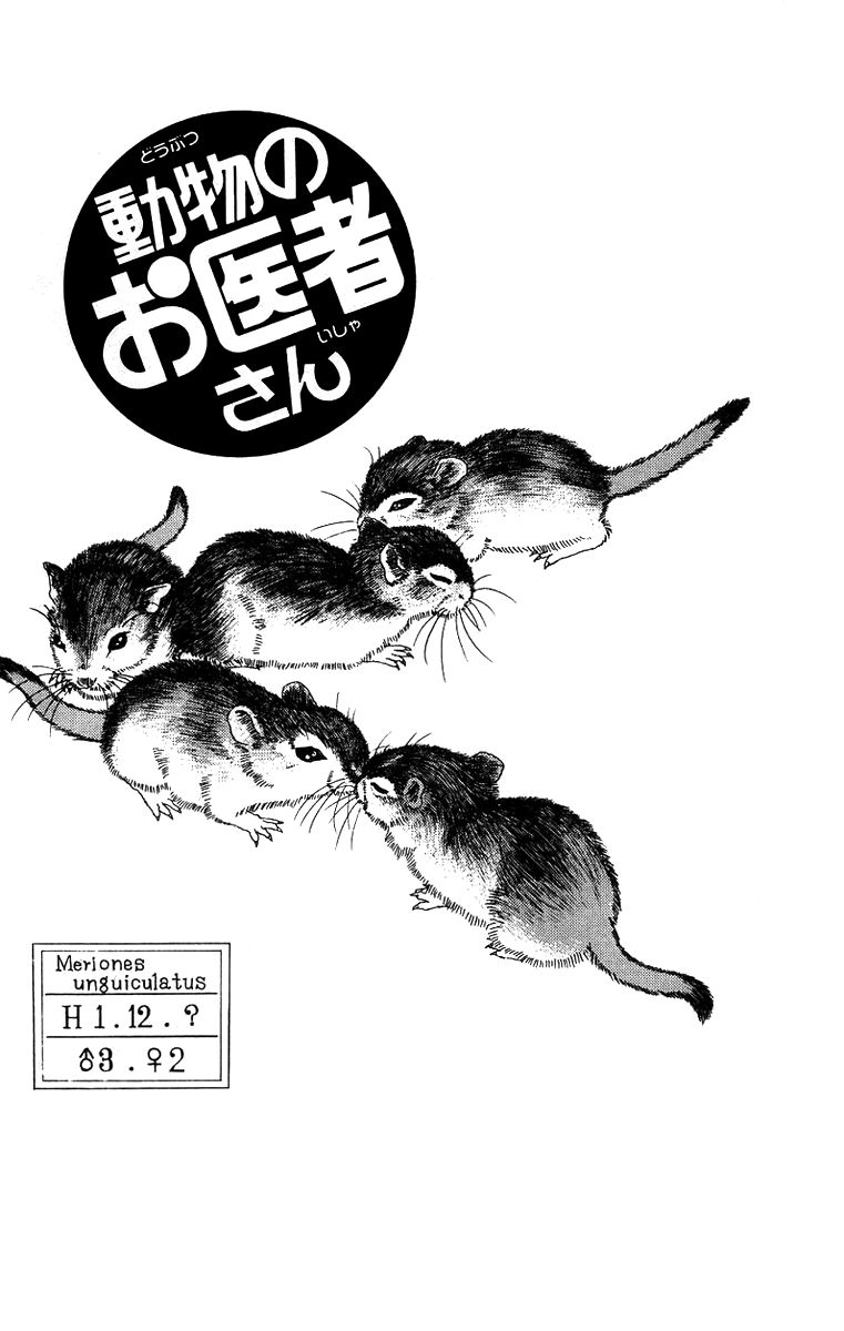 Doubutsu no Oishasan Chapter 43 page 1 - Chapter 43