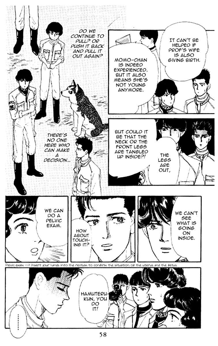 Doubutsu no Oishasan Chapter 46 page 12 - Chapter 46