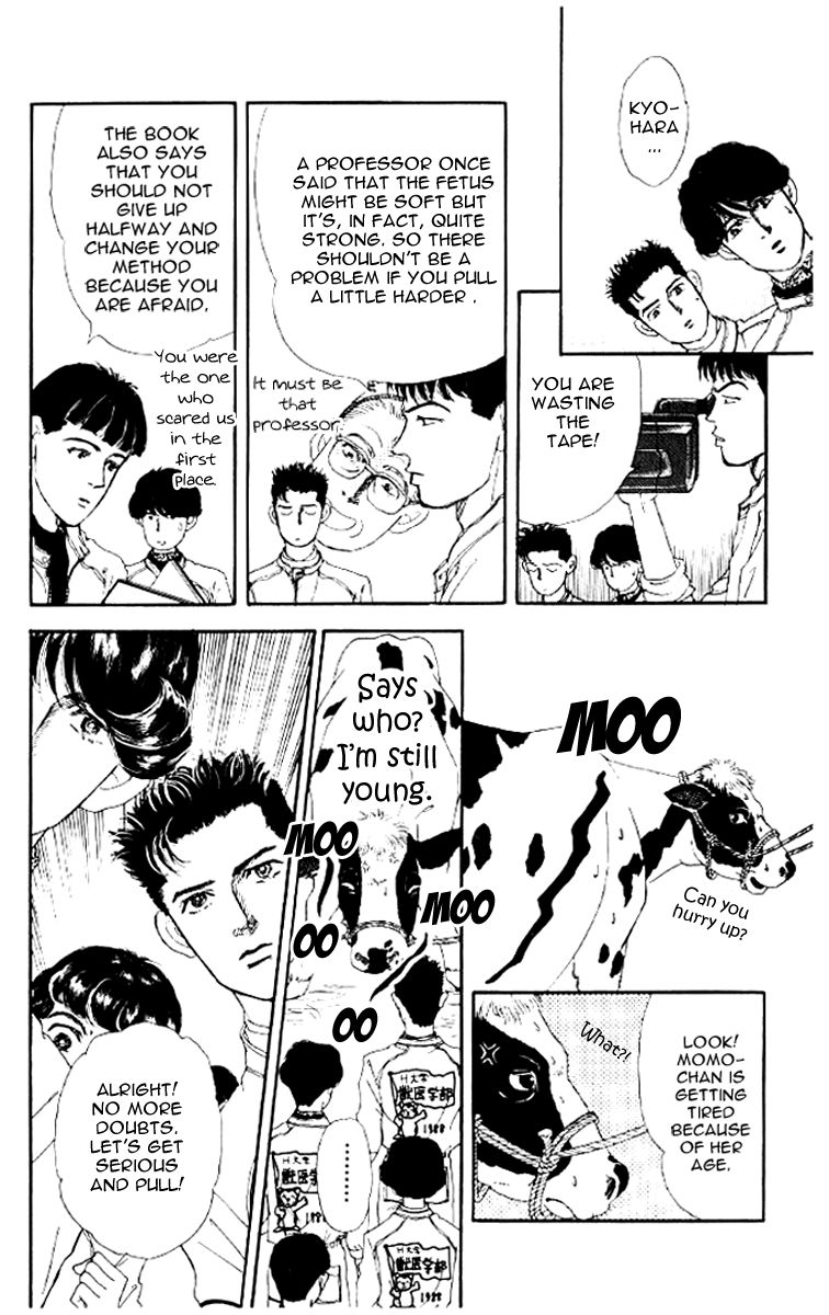 Doubutsu no Oishasan Chapter 46 page 14 - Chapter 46