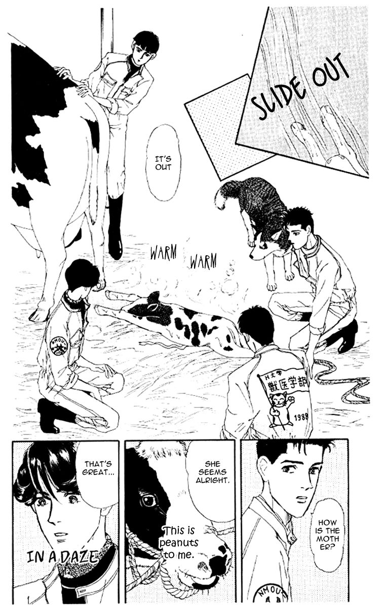 Doubutsu no Oishasan Chapter 46 page 16 - Chapter 46