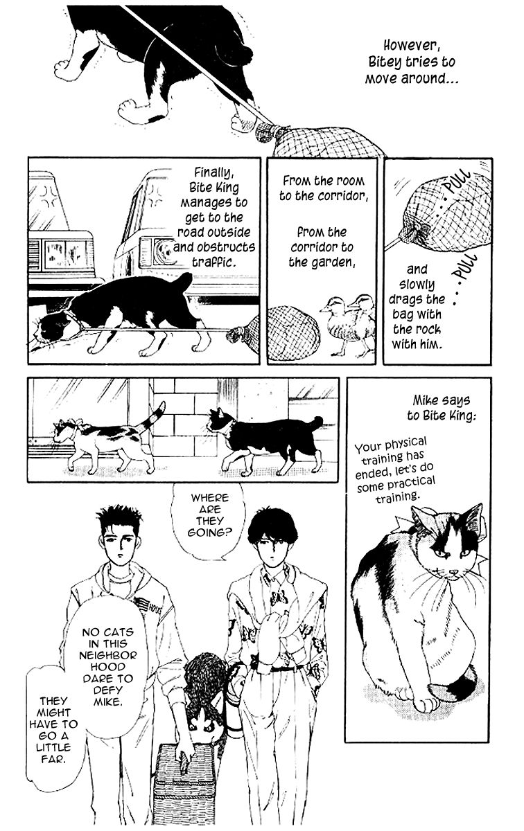 Doubutsu no Oishasan Chapter 50 page 12 - Chapter 50