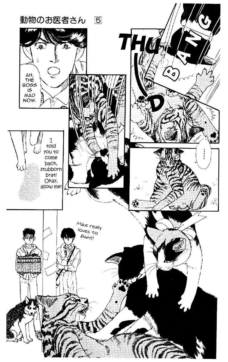 Doubutsu no Oishasan Chapter 50 page 15 - Chapter 50