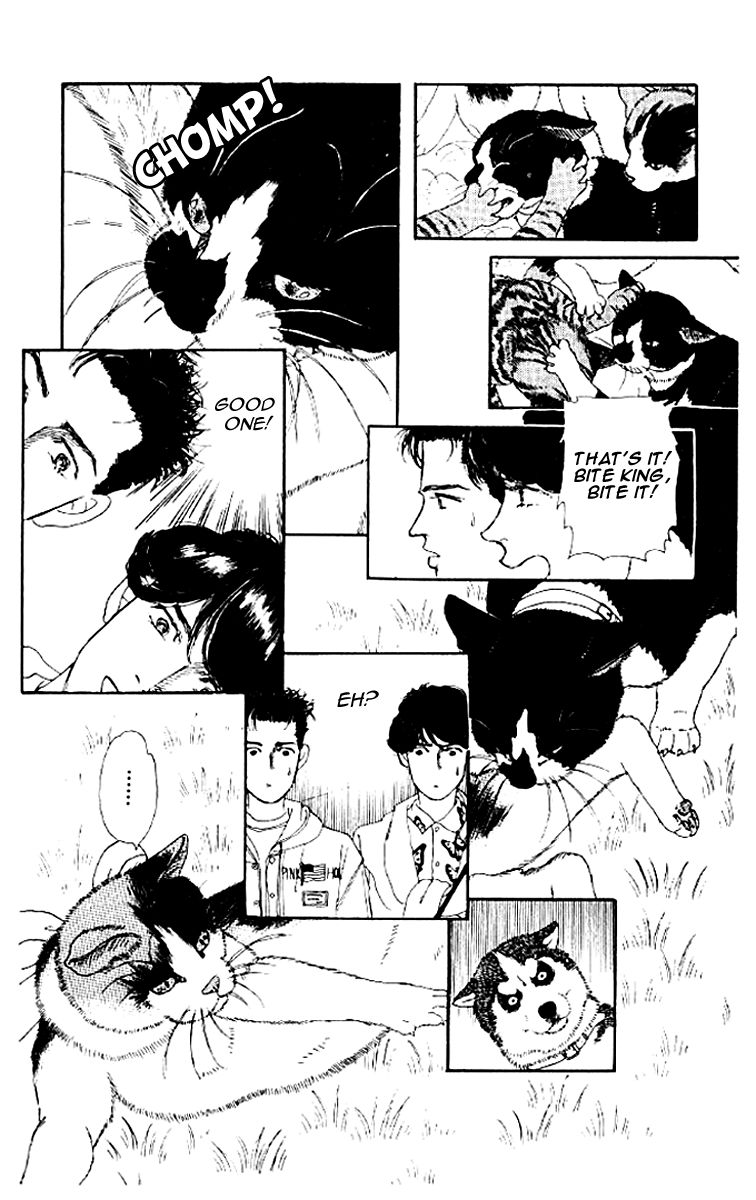 Doubutsu no Oishasan Chapter 50 page 16 - Chapter 50