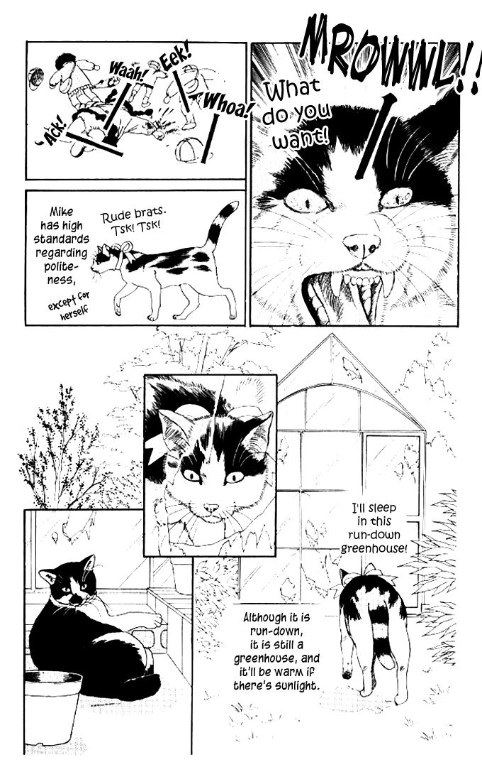 Doubutsu no Oishasan Chapter 50 page 3 - Chapter 50