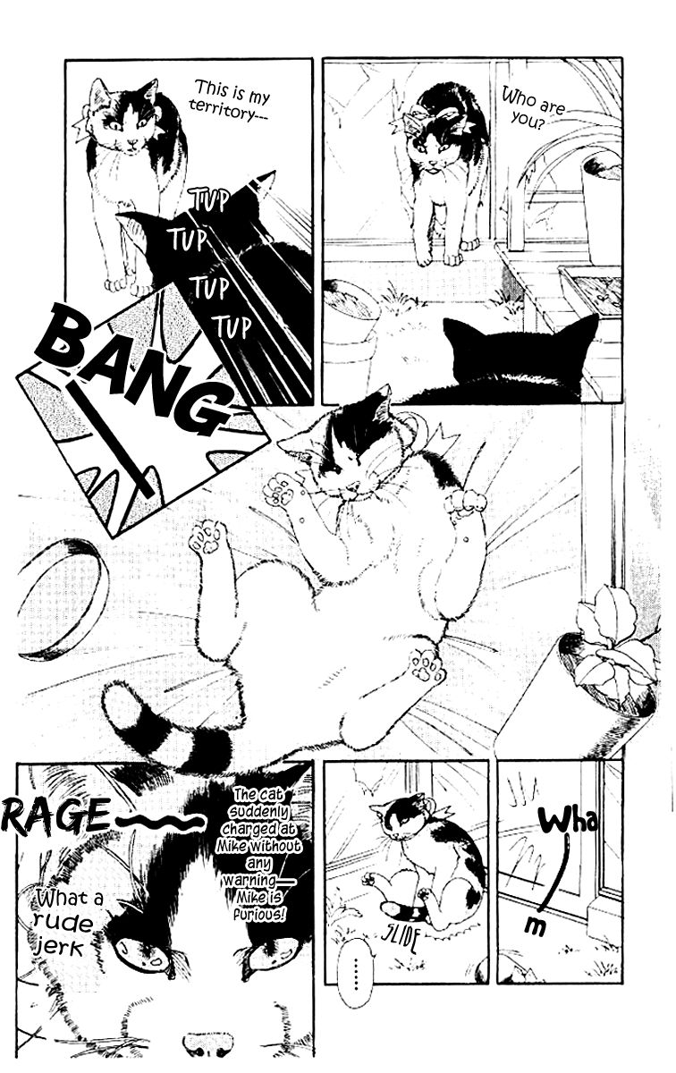 Doubutsu no Oishasan Chapter 50 page 4 - Chapter 50