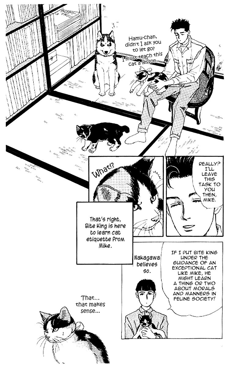 Doubutsu no Oishasan Chapter 50 page 7 - Chapter 50