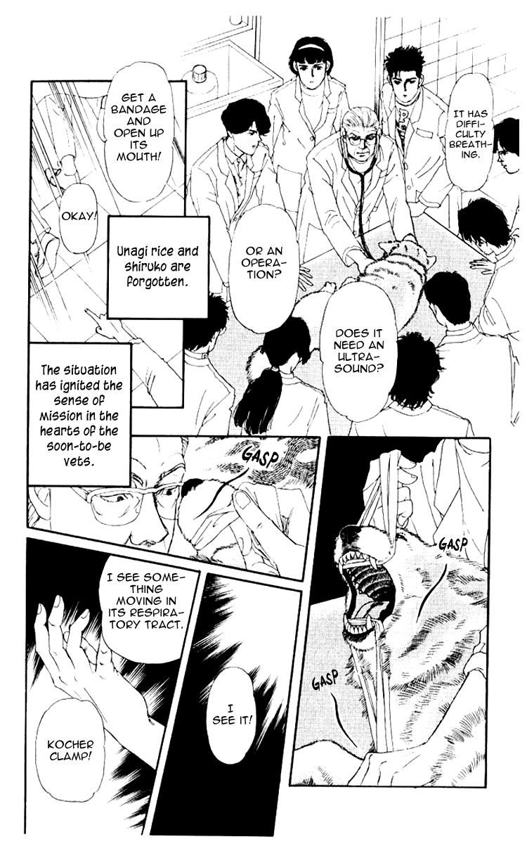 Doubutsu no Oishasan Chapter 53 page 16 - Chapter 53