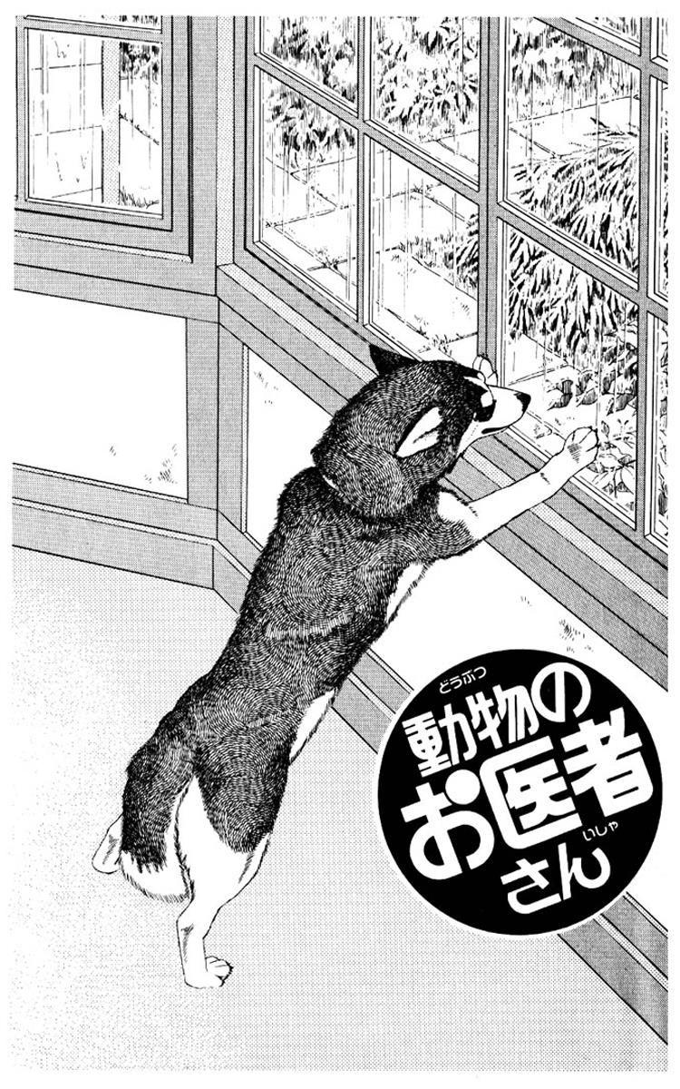 Doubutsu no Oishasan Chapter 53 page 3 - Chapter 53