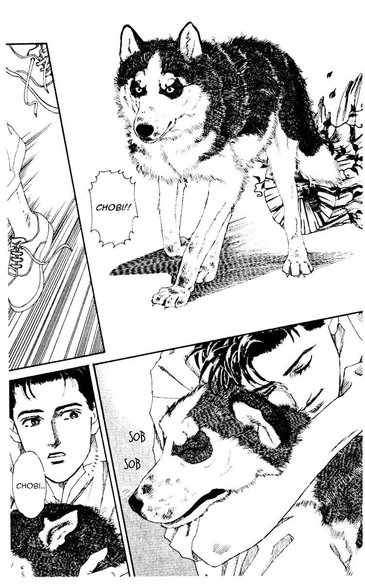 Doubutsu no Oishasan Chapter 55 page 18 - Chapter 55