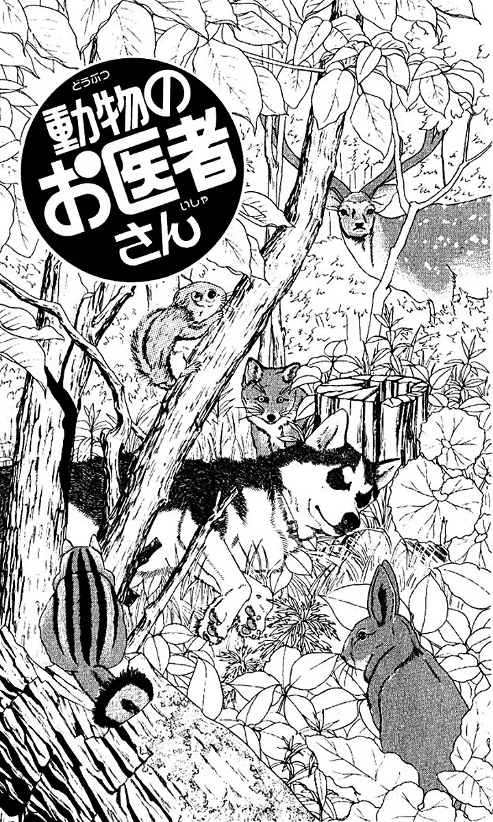 Doubutsu no Oishasan Chapter 55 page 3 - Chapter 55