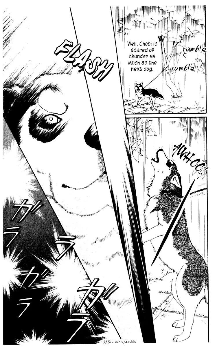 Doubutsu no Oishasan Chapter 55 page 7 - Chapter 55