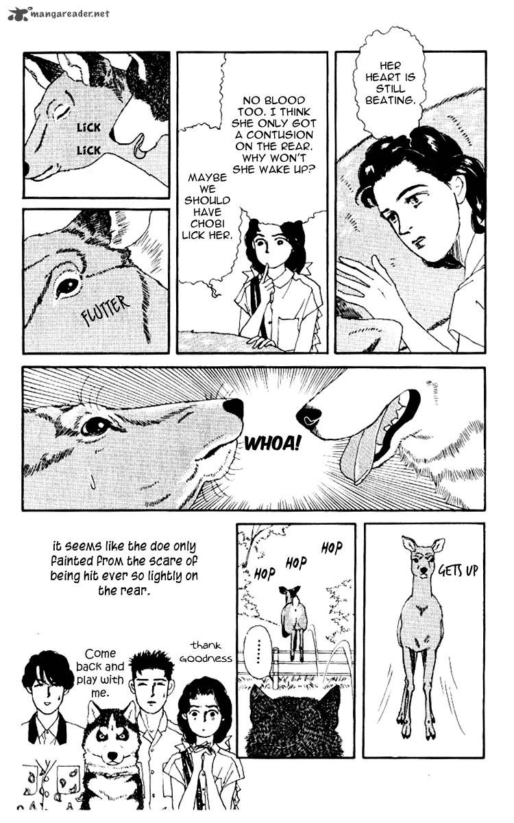 Doubutsu no Oishasan Chapter 56 page 17 - Chapter 56