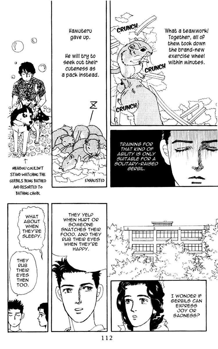 Doubutsu no Oishasan Chapter 58 page 17 - Chapter 58