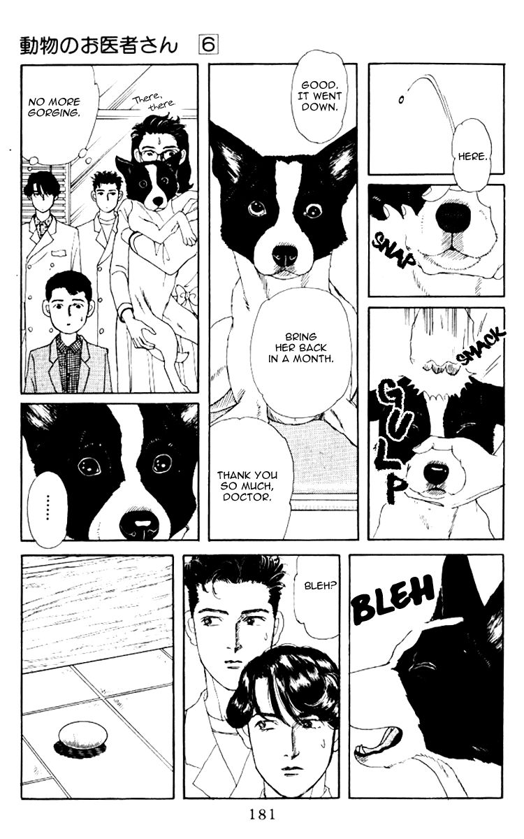 Doubutsu no Oishasan Chapter 62 page 12 - Chapter 62