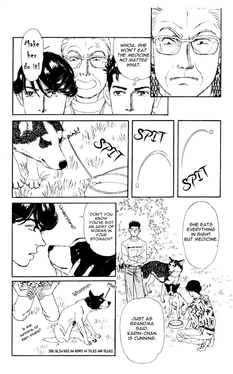 Doubutsu no Oishasan Chapter 62 page 13 - Chapter 62