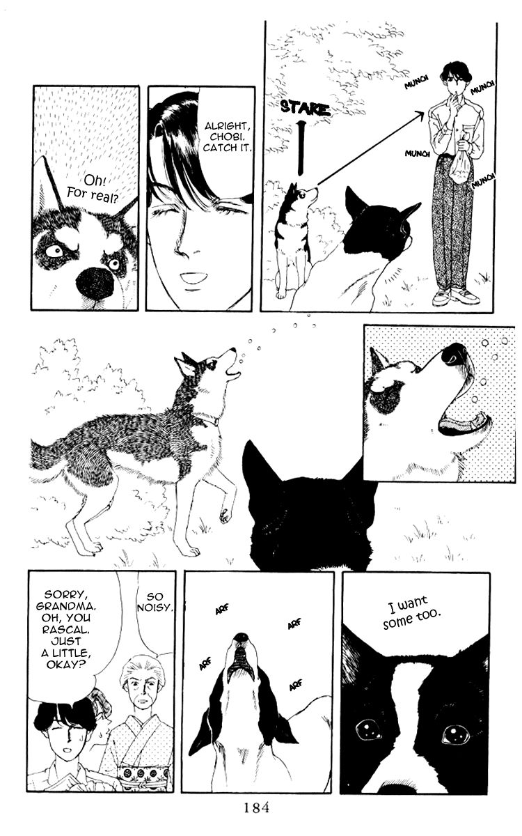 Doubutsu no Oishasan Chapter 62 page 15 - Chapter 62