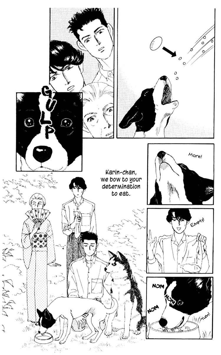 Doubutsu no Oishasan Chapter 62 page 16 - Chapter 62