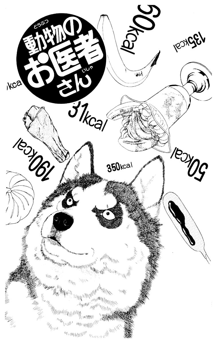 Doubutsu no Oishasan Chapter 62 page 2 - Chapter 62