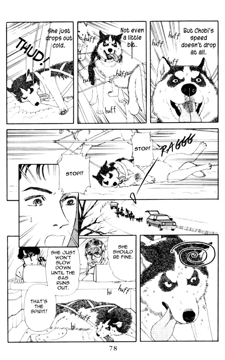 Doubutsu no Oishasan Chapter 66 page 13 - Chapter 66