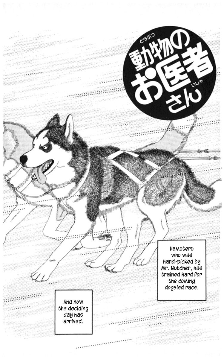 Doubutsu no Oishasan Chapter 67 page 2 - Chapter 67