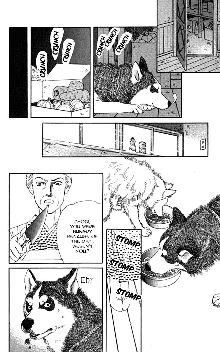 Doubutsu no Oishasan Chapter 71 page 14 - Chapter 71