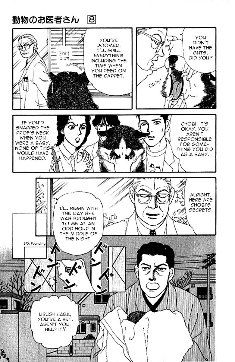 Doubutsu no Oishasan Chapter 72 page 12 - Chapter 72