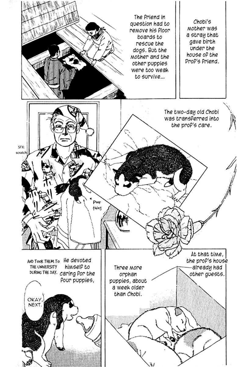Doubutsu no Oishasan Chapter 72 page 13 - Chapter 72