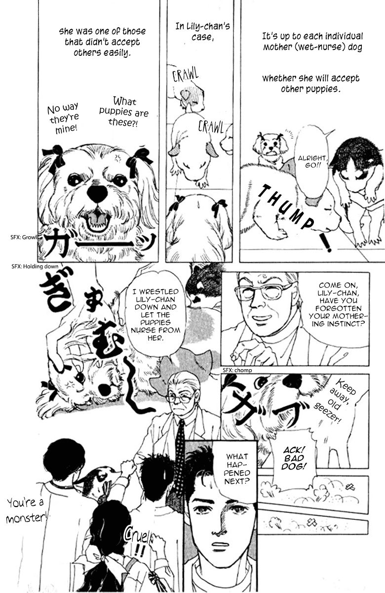 Doubutsu no Oishasan Chapter 72 page 17 - Chapter 72