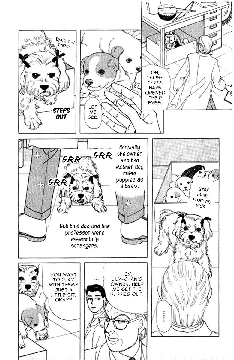 Doubutsu no Oishasan Chapter 72 page 19 - Chapter 72