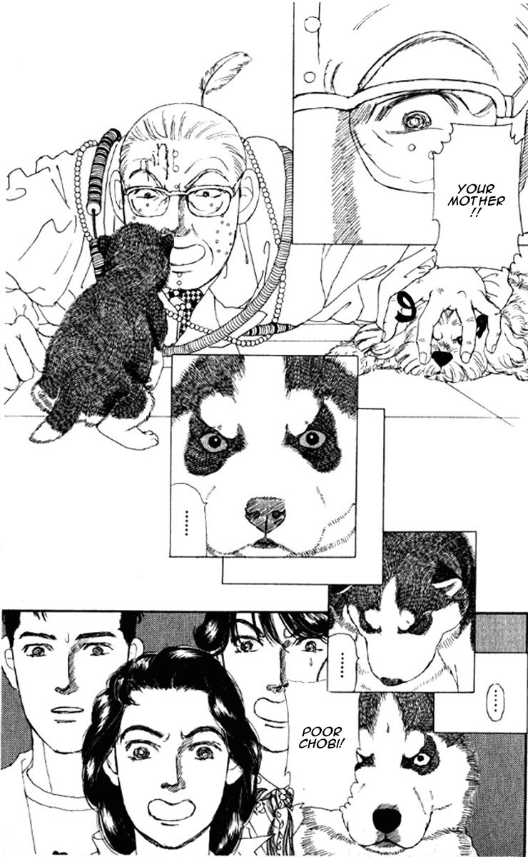 Doubutsu no Oishasan Chapter 72 page 24 - Chapter 72