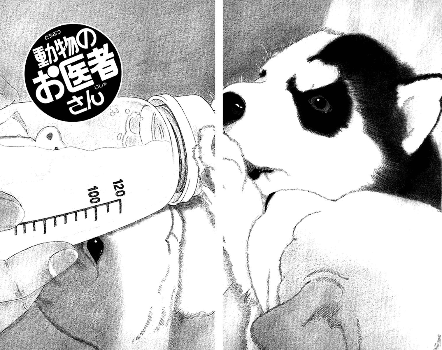 Doubutsu no Oishasan Chapter 72 page 6 - Chapter 72